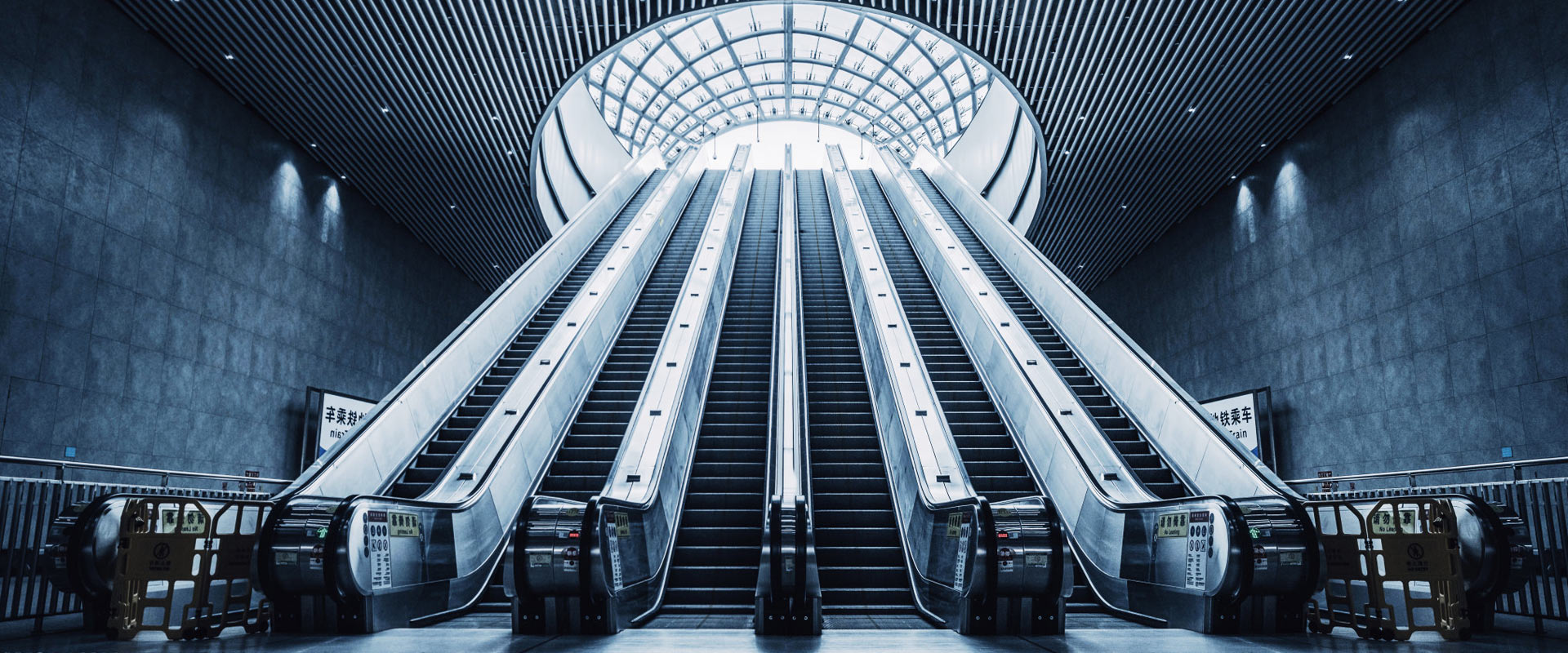 �Ƽ���������